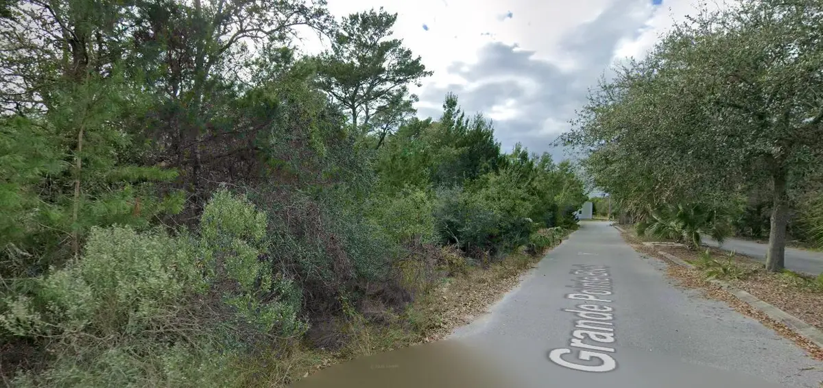 # Holly Leaf Lane, Inlet Beach, FL 32461 - #1