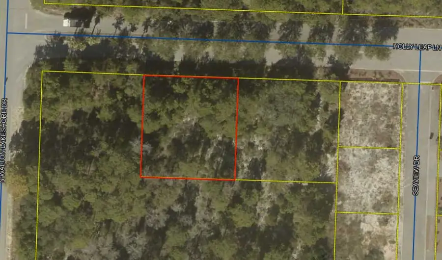 # Holly Leaf Lane, Inlet Beach, FL 32461 - #2