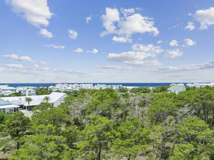 # Holly Leaf Lane, Inlet Beach, FL 32461 - #3