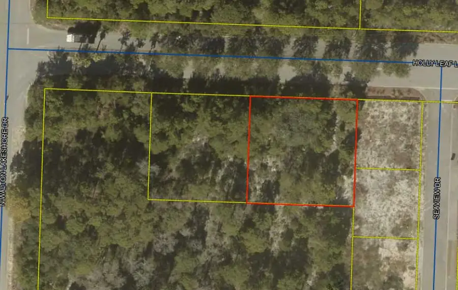 52 Holly Leaf Lane, Inlet Beach, FL 32461 - #2