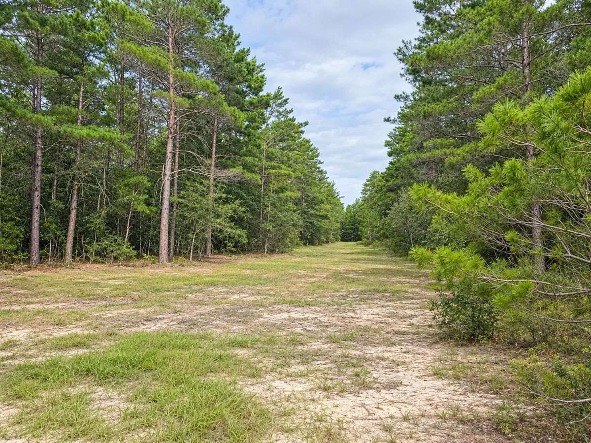 134 Post Oak Road, Defuniak Springs, FL 32433 - #1