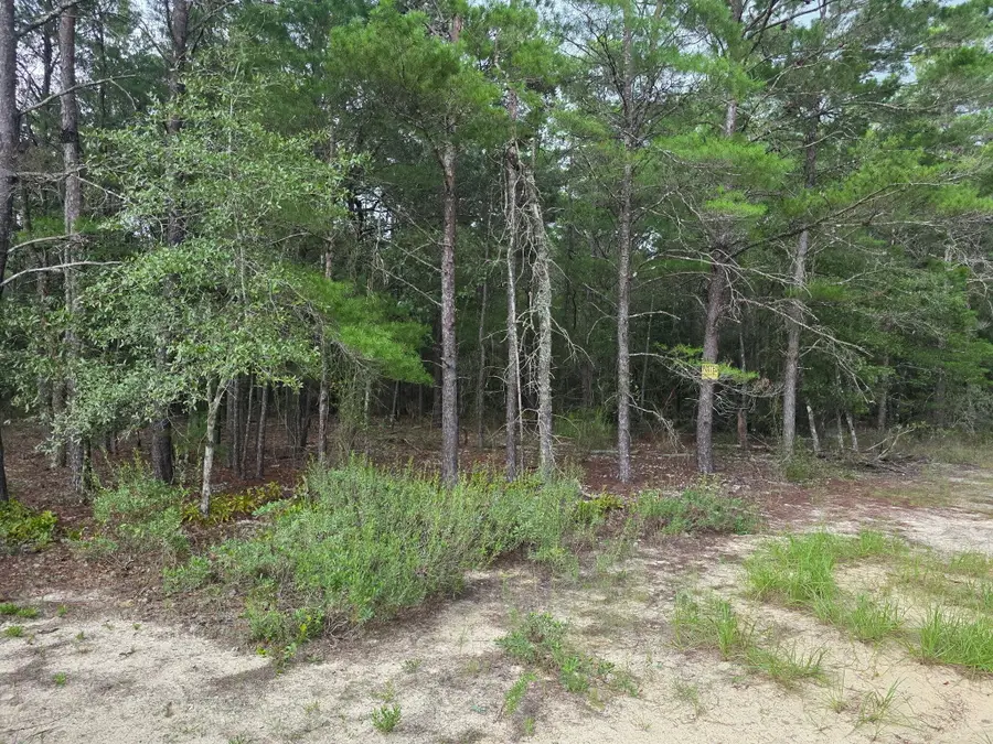 134 Post Oak Road, Defuniak Springs, FL 32433 - #2