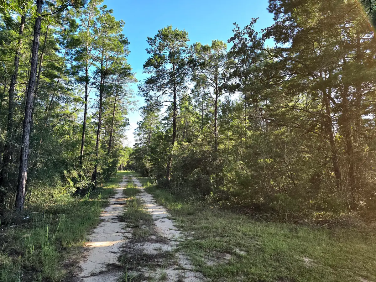 TBD Randi Road, Crestview, FL 32539 - #1