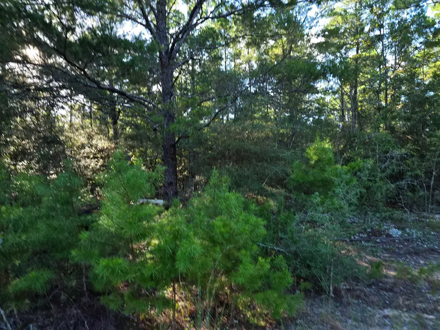 TBD Randi Road, Crestview, FL 32539 - #2