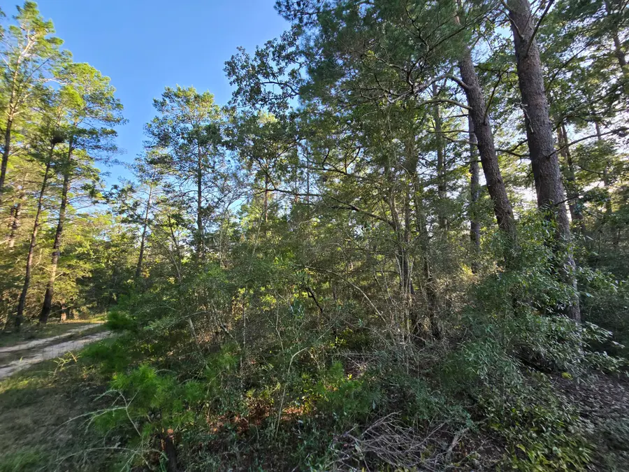 TBD Randi Road, Crestview, FL 32539 - #3
