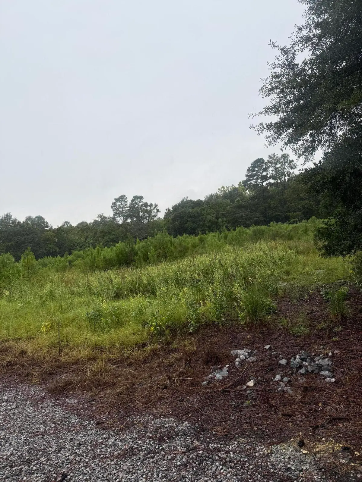 1950 Grady Baggett Road, Baker, FL 32531 - #1
