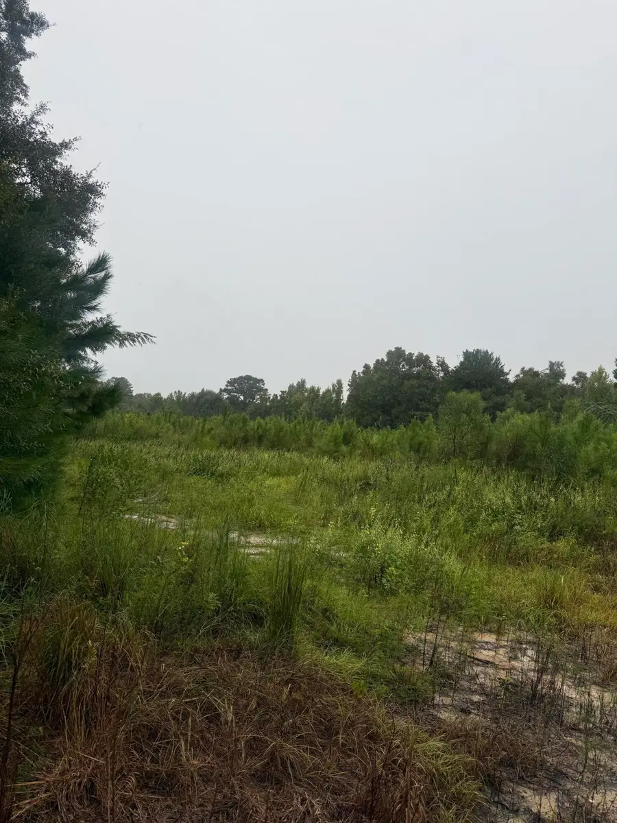 1950 Grady Baggett Road, Baker, FL 32531 - #2