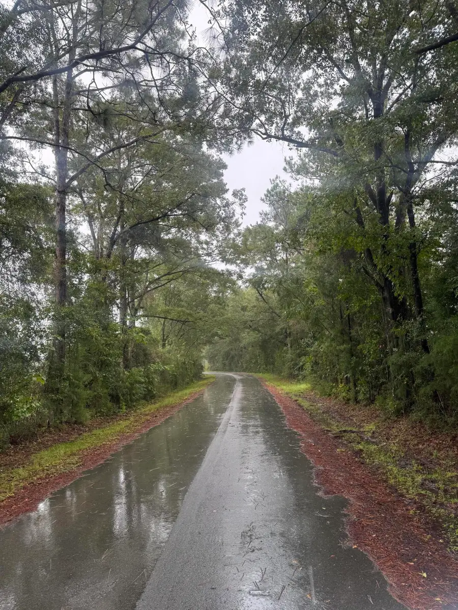 1950 Grady Baggett Road, Baker, FL 32531 - #3