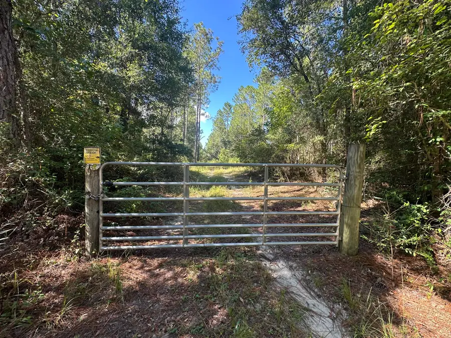 Tract#6421 Johnson Road, Caryville, FL 32425 - #2