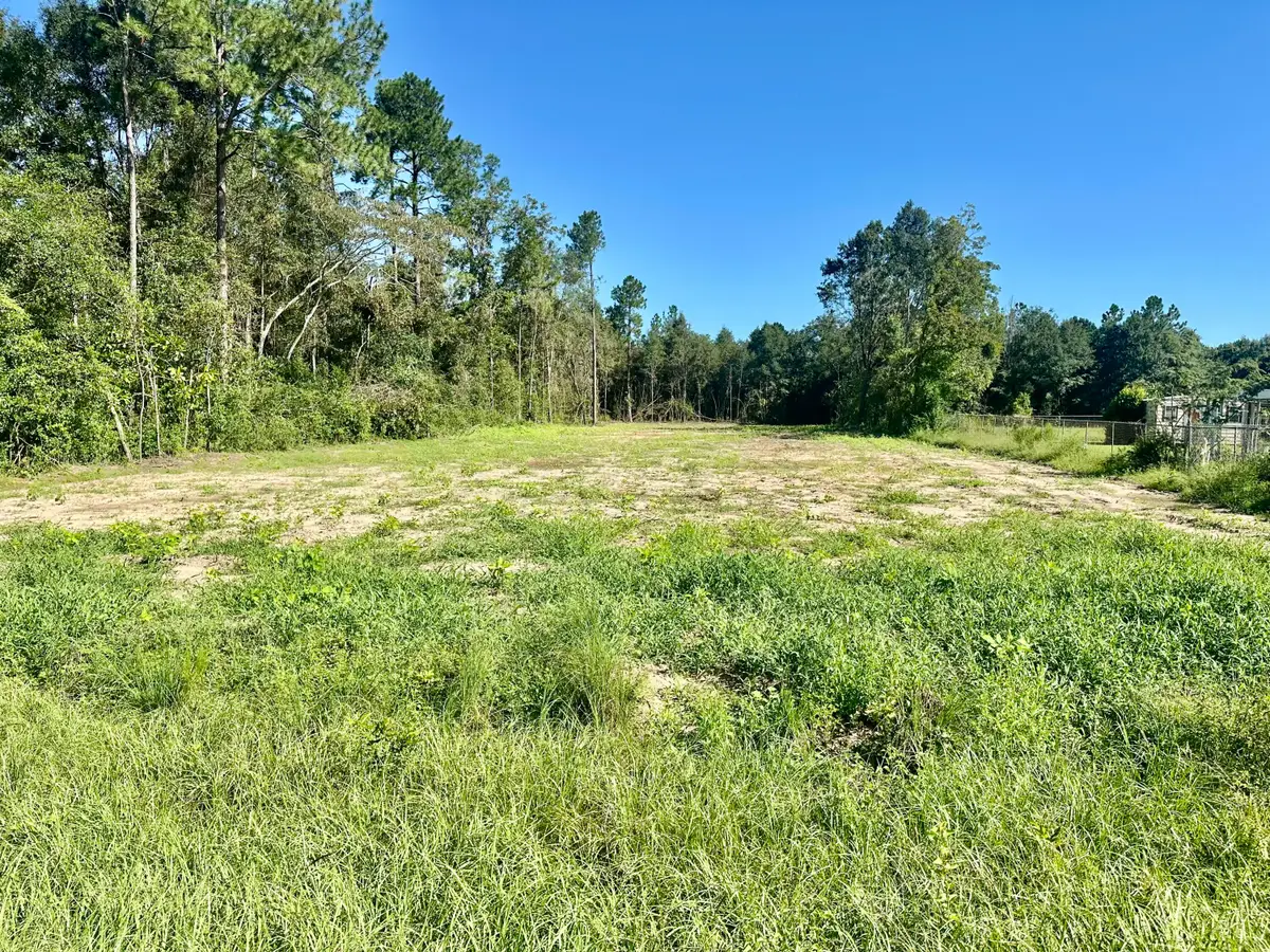 TBD Vinson Ray Road, Baker, FL 32531 - #1