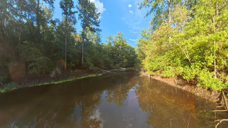 71 Acres Pouncey Drive, Florala, AL 36442 - #2