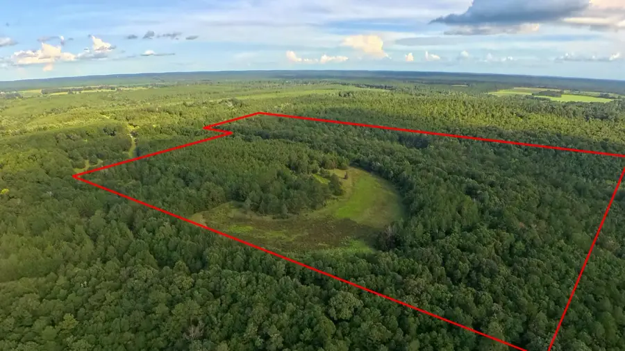 71 Acres Pouncey Drive, Florala, AL 36442 - #3