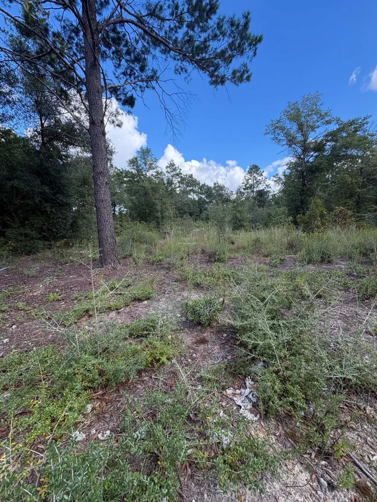 TBD E Picasso Circle, Defuniak Springs, FL 32433 - #1