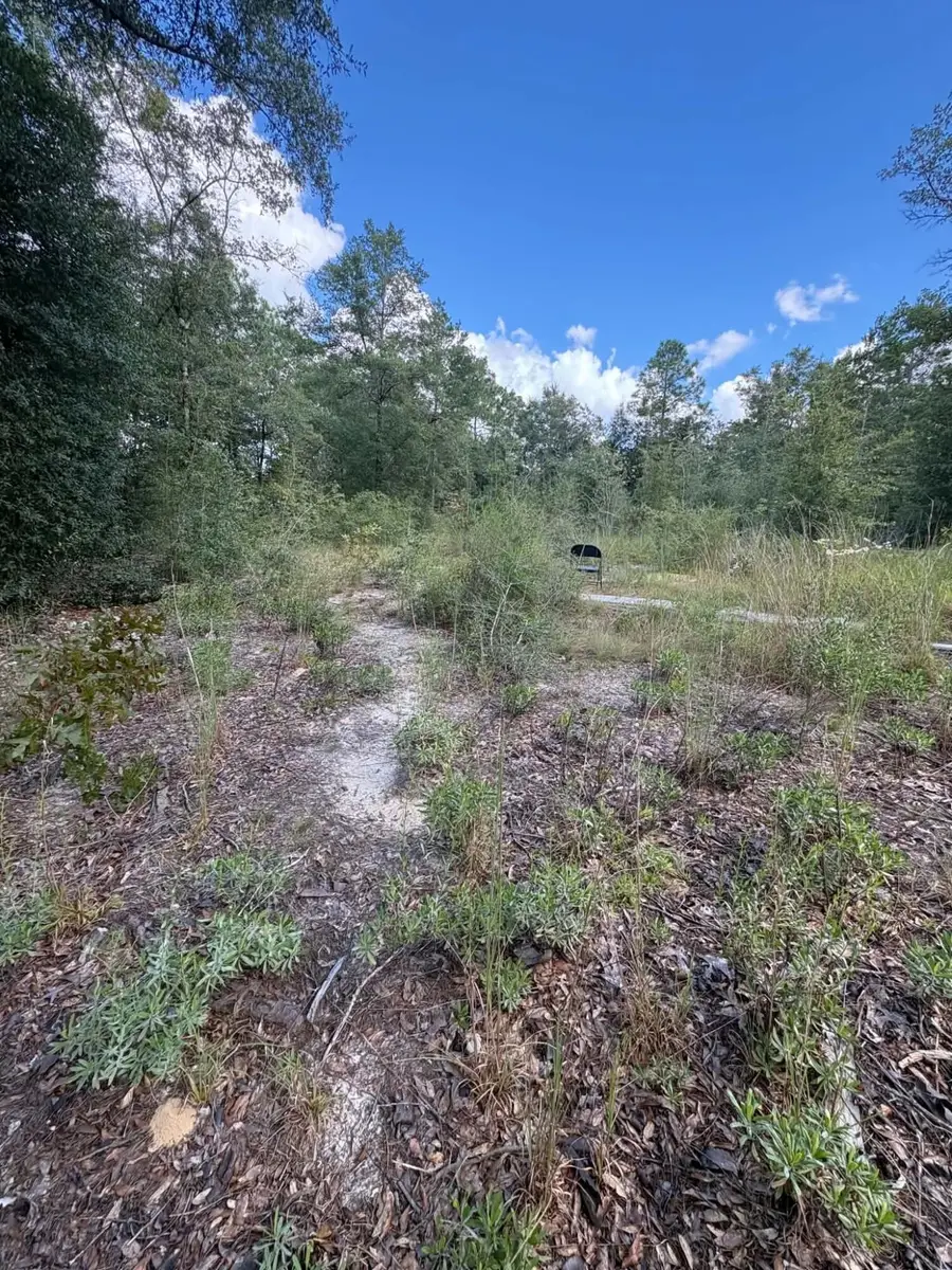 TBD E Picasso Circle, Defuniak Springs, FL 32433 - #2