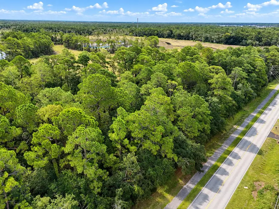 TBD County Highway 83a, Freeport, FL 32439 - #2