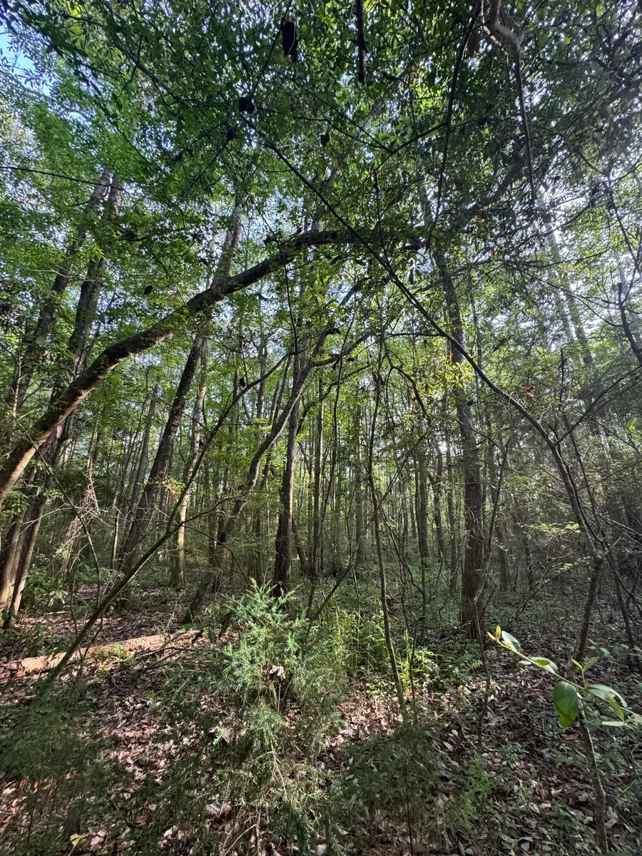 6 acres Hill Street, Defuniak Springs, FL 32435 - #2
