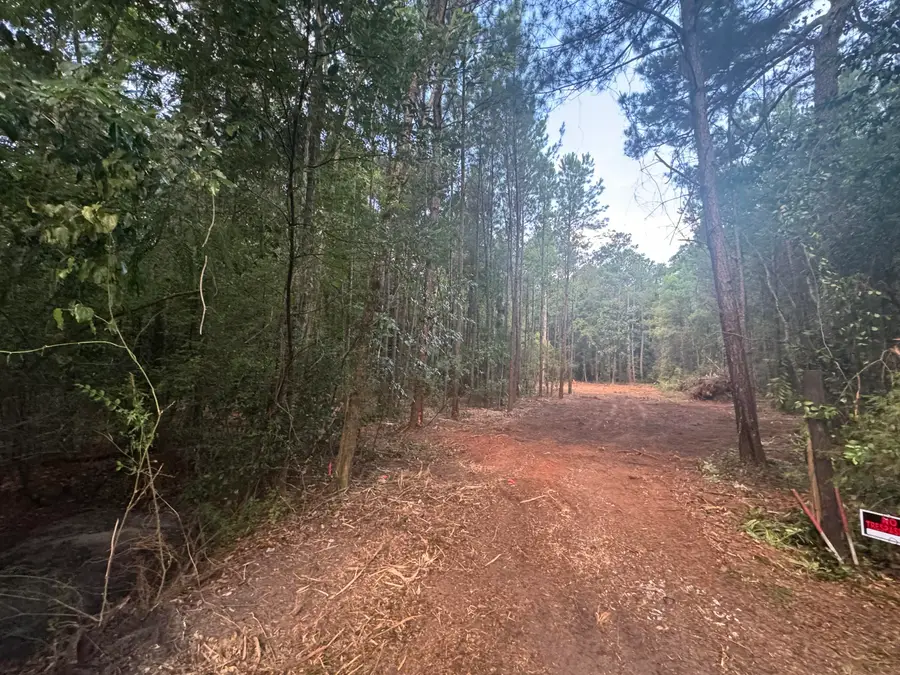 6 acres Hill Street, Defuniak Springs, FL 32435 - #3
