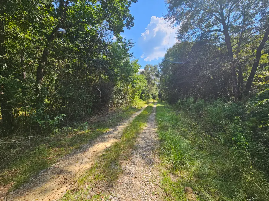 3853 Chicago Avenue, Laurel Hill, FL 32567 - #2