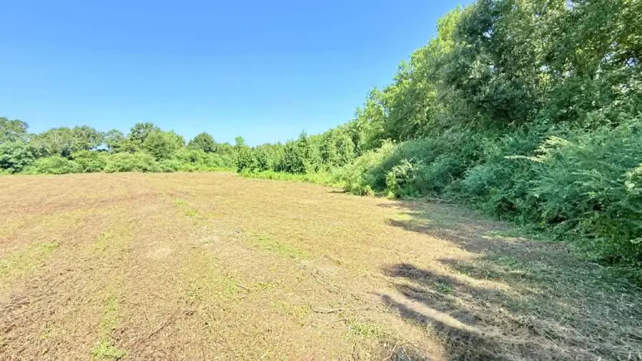 3.5 Acre-2 NE County Road 32, Opp, AL 36467 - #2