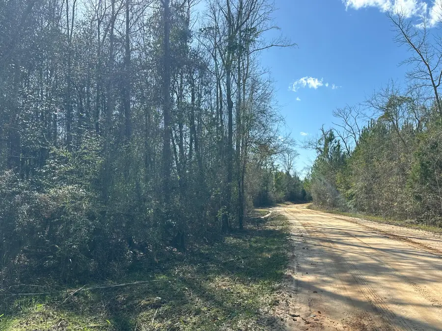 Tract#6317 N Harris Stevenson Road, Bonifay, FL 32425 - #2