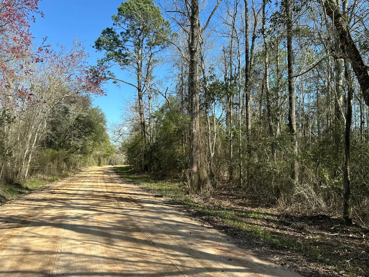 Tract#6317 S Harris Stevenson Road, Bonifay, FL 32425 - #1