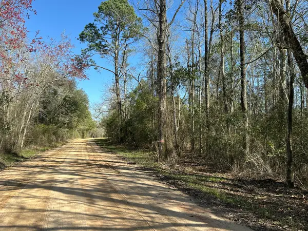 Tract#6317 S Harris Stevenson Road, Bonifay, FL 32425