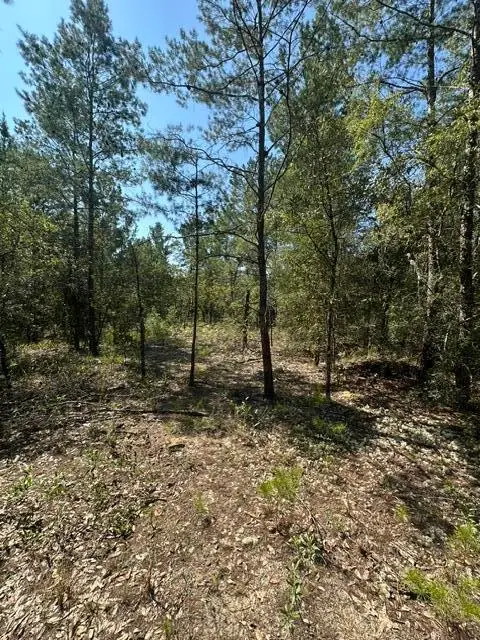 lot 4 & 5 E Buckeye Street, Defuniak Springs, FL 32433 - #1