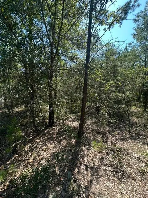 lot 5 E Buckeye Street, Defuniak Springs, FL 32433 - #2