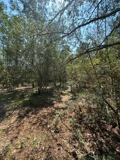 lot 5 E Buckeye Street, Defuniak Springs, FL 32433 - #3