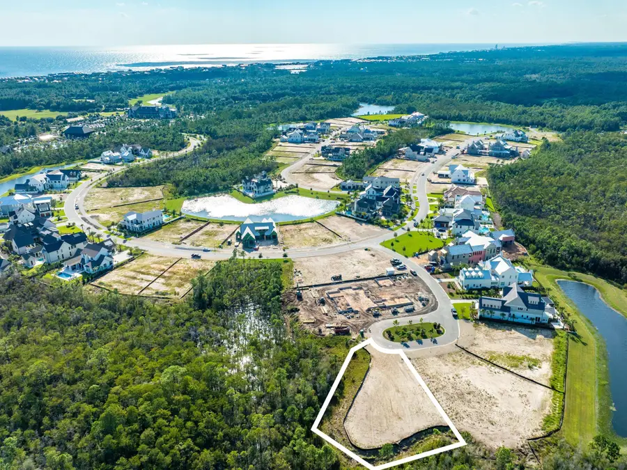 Lot 201 Sundew Place, Watersound, FL 32461 - #3