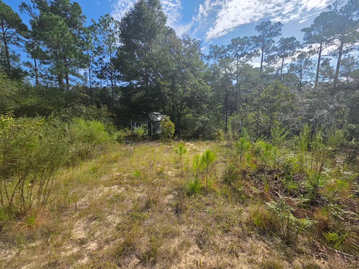 Lot 48 Clearwater Drive, Defuniak Springs, FL 32433 - #1