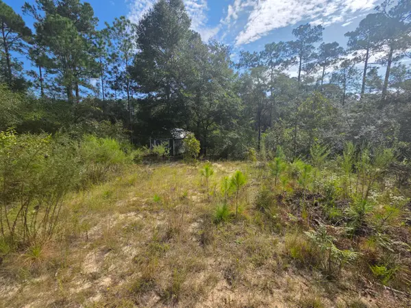 Lot 48 Clearwater Drive, DeFuniak Springs, FL 32433