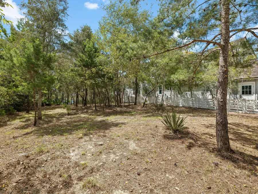 Lot 2 Bridgeway Lane, Watersound, FL 32461 - #3