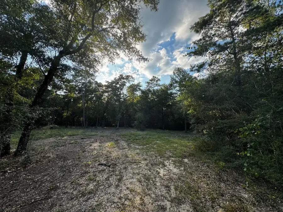 2.24 Acres Jv Woolley Rd Road, Crestview, FL 32539 - #2