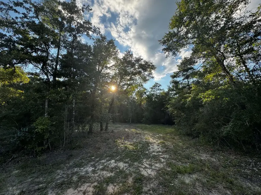 2.24 Acres Jv Woolley Rd Road, Crestview, FL 32539 - #3