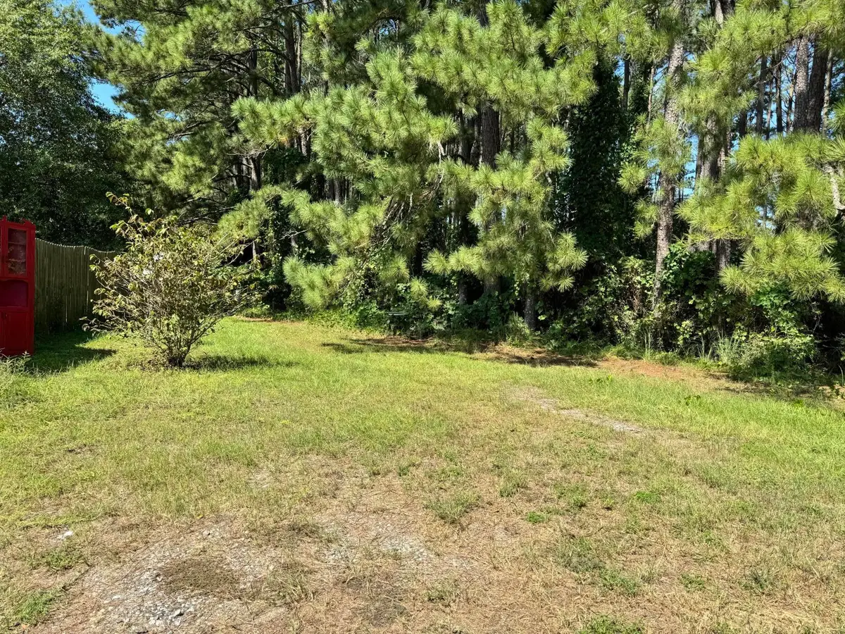 19495 Chance Road, Florala, AL 36442 - #1