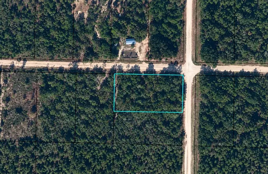 1.14 Acres Lincoln Avenue, Alford, FL 32420 - #2