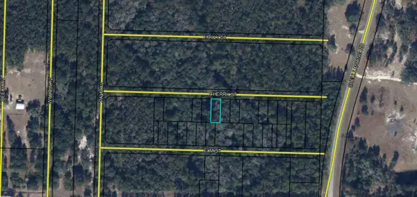 Lots 19/20 Cherry Street, Vernon, FL 32462