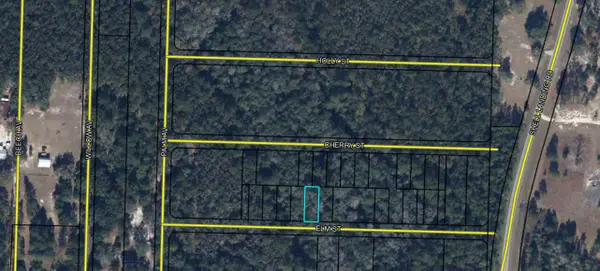 Lots 70/71 Elm Street, Vernon, FL 32462