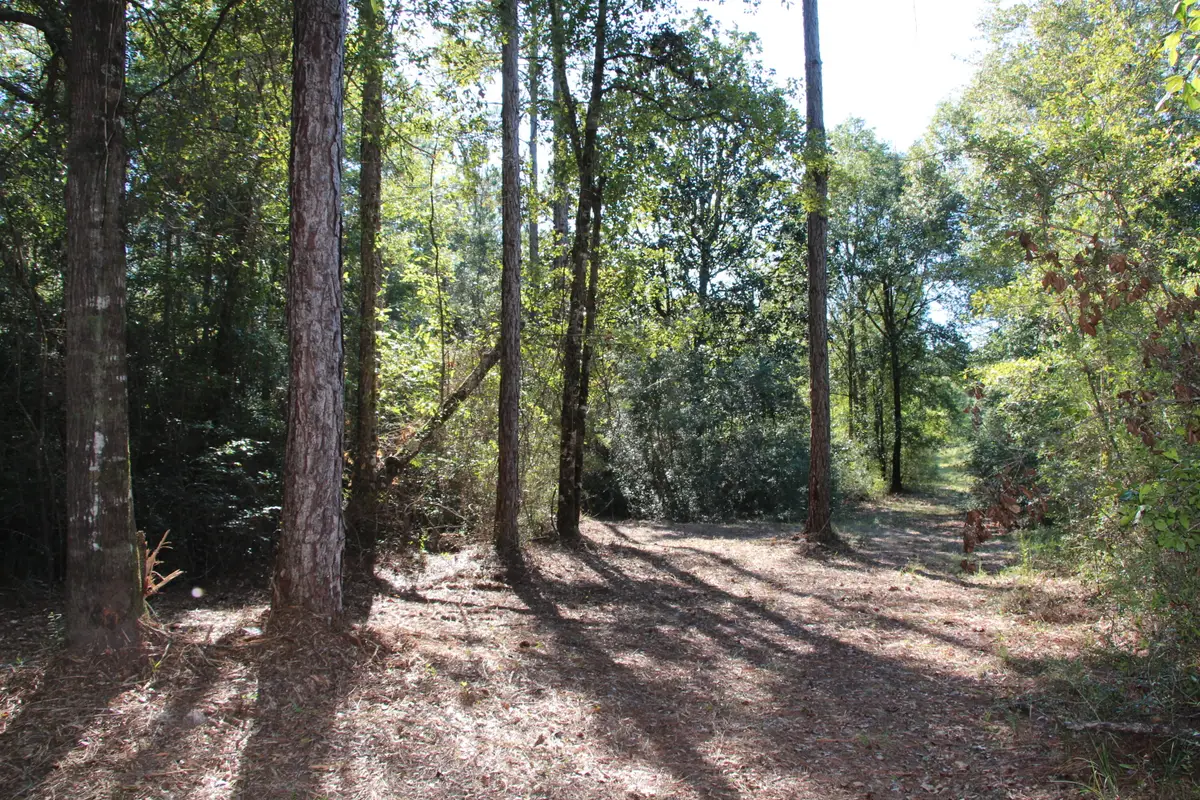 TBD E Chapel Road, Laurel Hill, FL 32567 - #1
