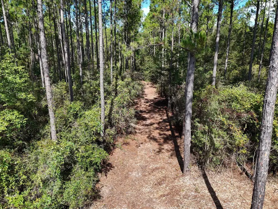 TBD E Chapel Road, Laurel Hill, FL 32567 - #2