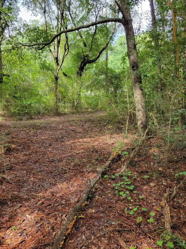 204 Shell Drive, Crestview, FL 32536