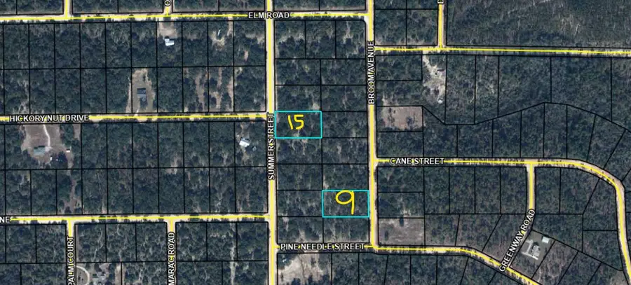 Lot 9 Broom Avenue, Marianna, FL 32448 - #2