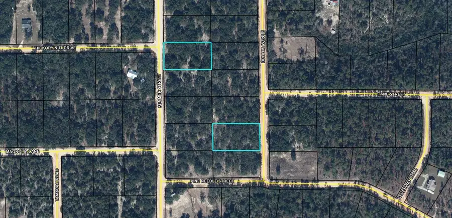 Lot 9 Broom Avenue, Marianna, FL 32448 - #3