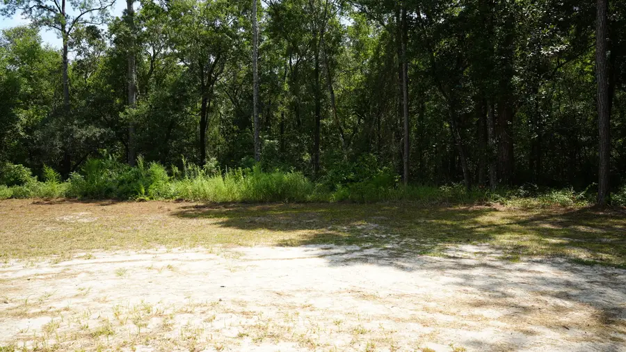 107 Canary Drive, Freeport, FL 32439 - #3