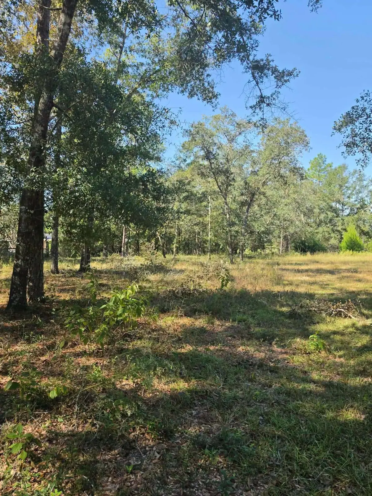 3091 Kings Lake, Defuniak Springs, FL 32433 - #1