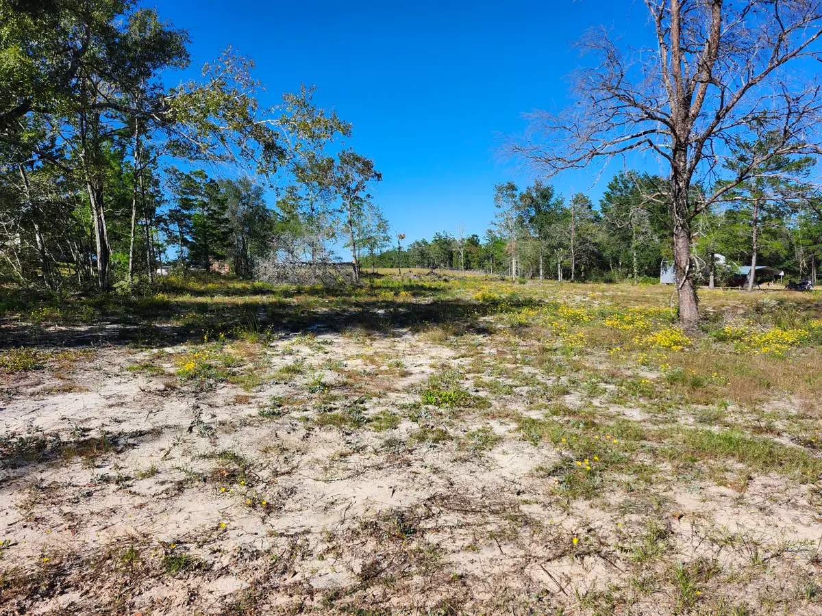 Lot 23 W Bach Drive, Defuniak Springs, FL 32433 - #1