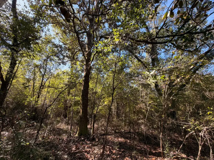 B & C Griffith Mill Road, Holt, FL 32564 - #3