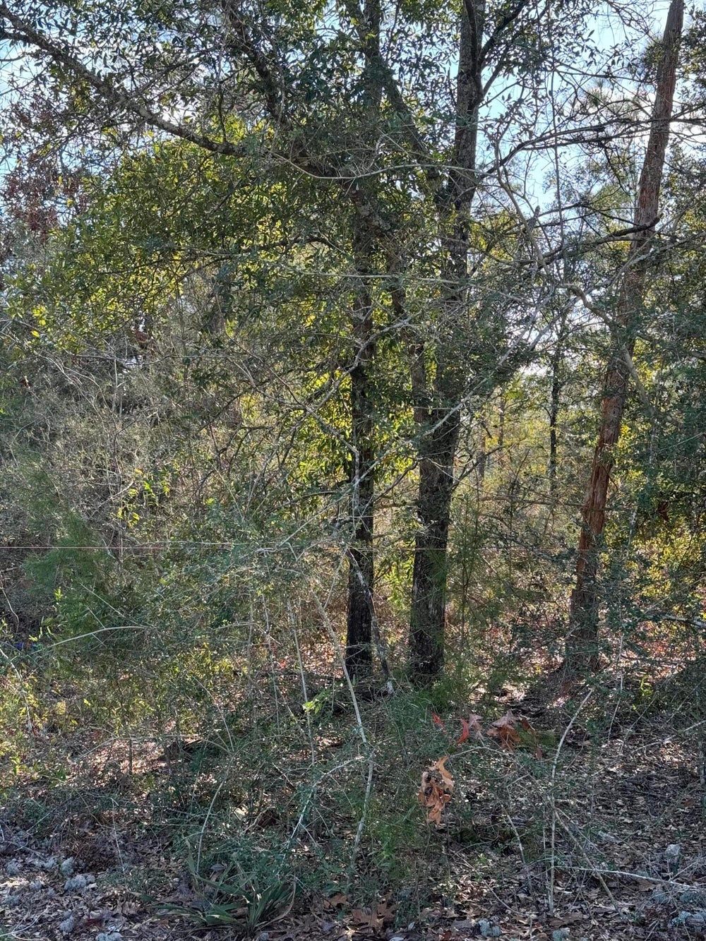 XX Lafavre Lane, DeFuniak Springs, FL 32433 ERA