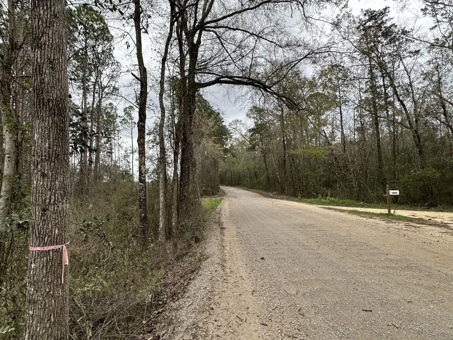 Tract#6336 Sand Path Road, Bonifay, FL 32425 - #3